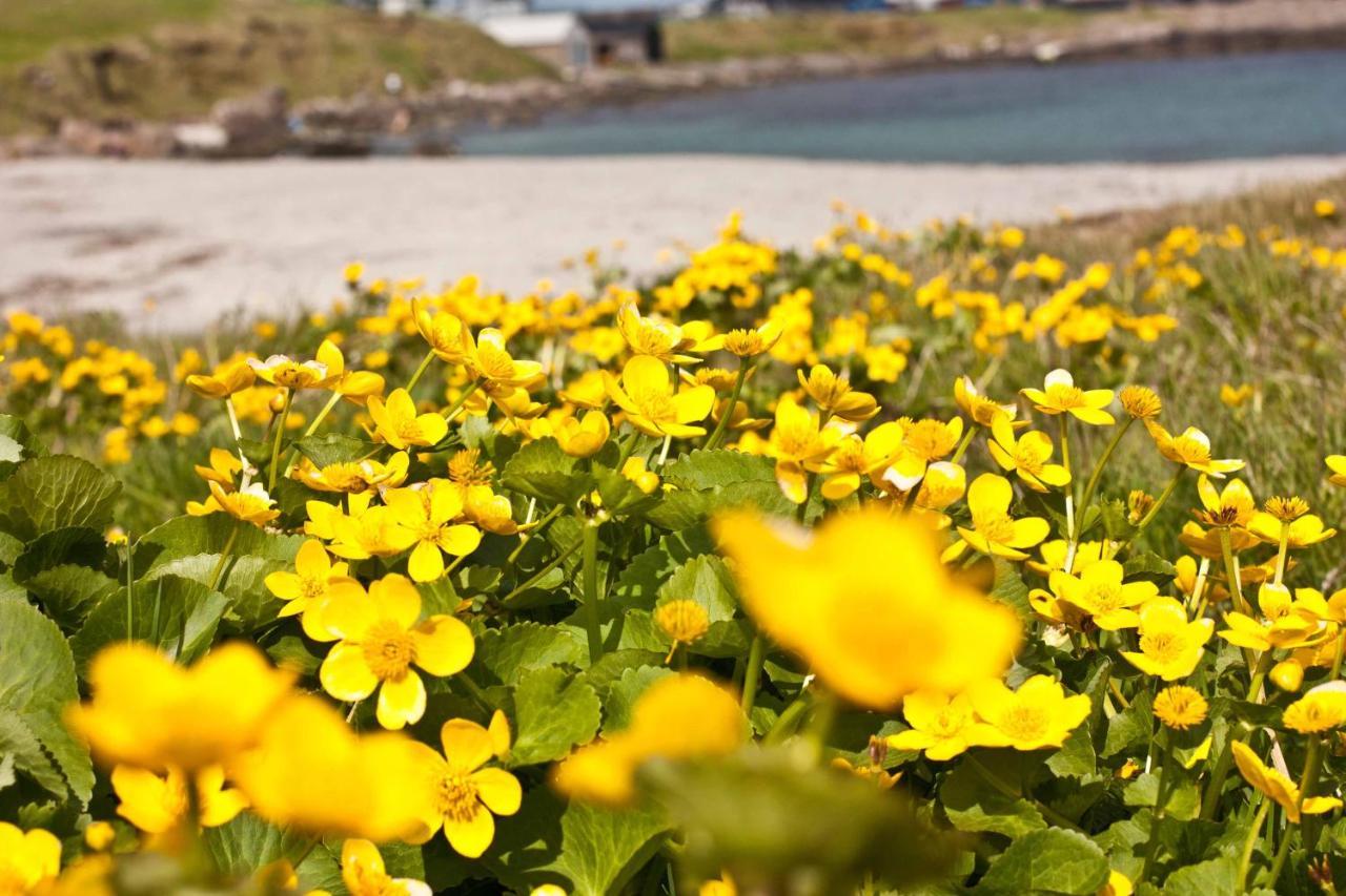 Cosy Apartment Near Beach, Marina & City Centre Torshavn Bagian luar foto